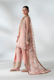 Peach Embellished Pakistani Party Dress for Elegance