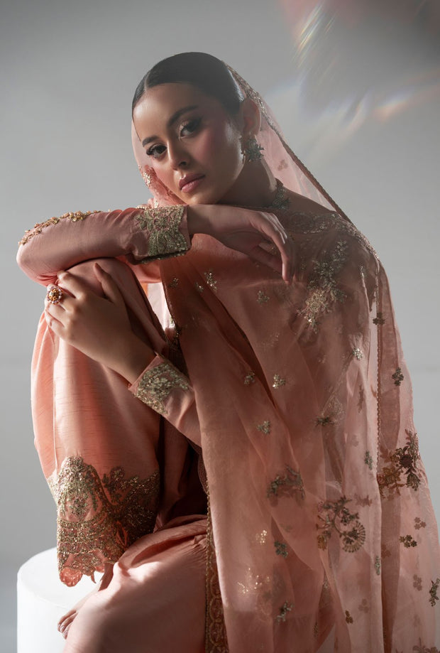 Peach Embellished Pakistani Party Dress for Elegance