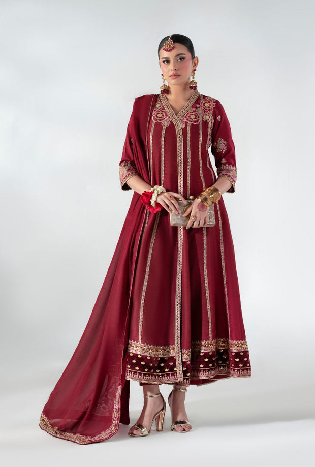 Regal Ruby Raffia Pakistani Party Dress for Elegance