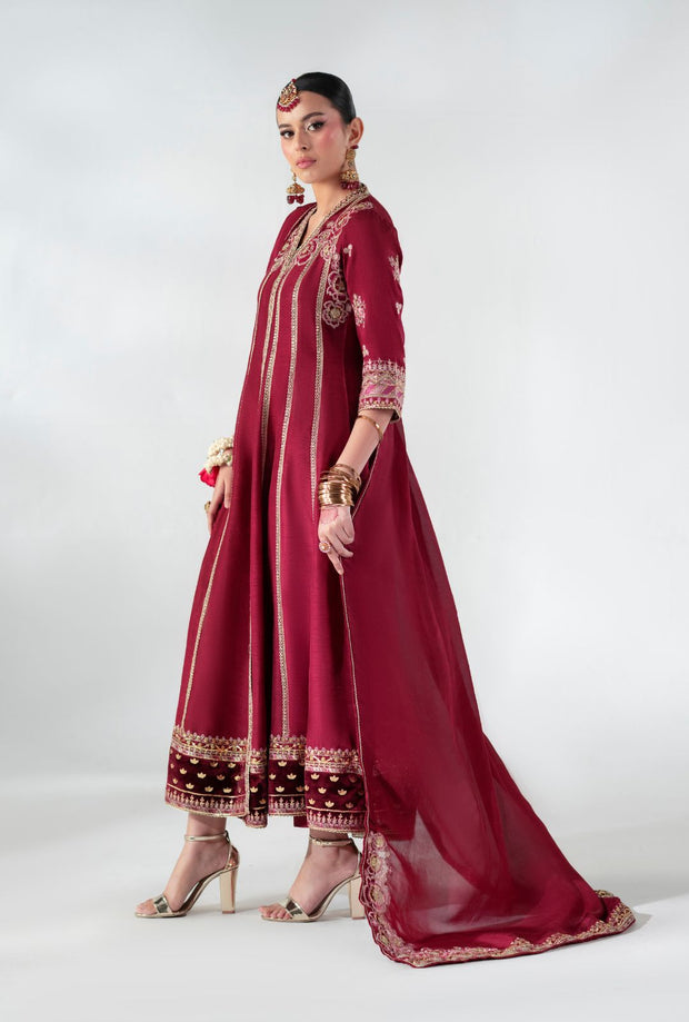 Regal Ruby Raffia Pakistani Party Dress for Elegance