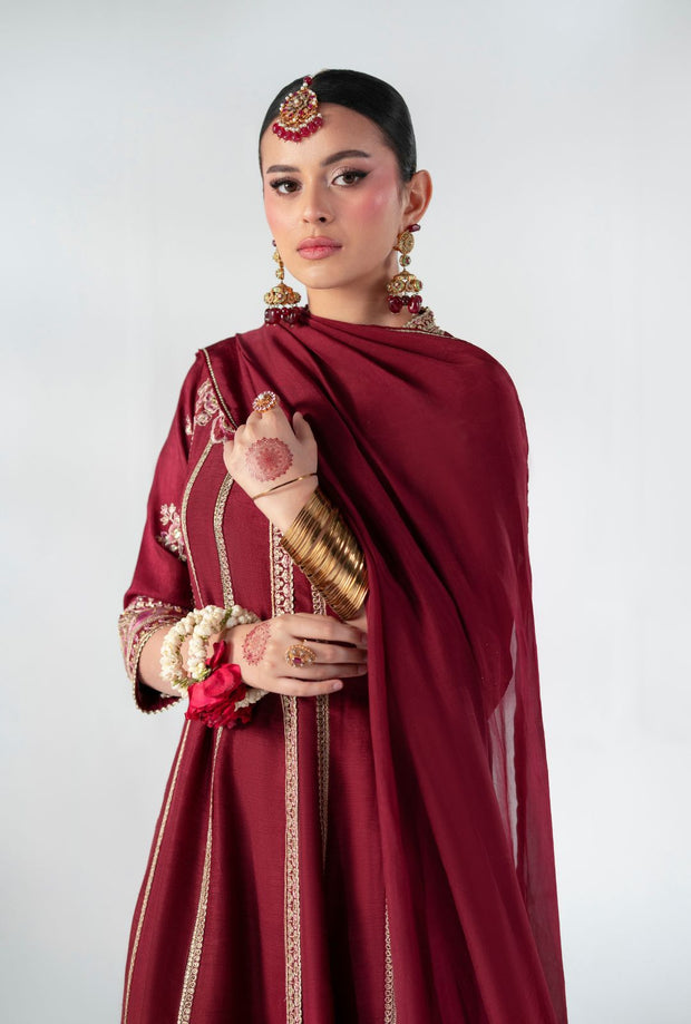 Regal Ruby Raffia Pakistani Party Dress for Elegance