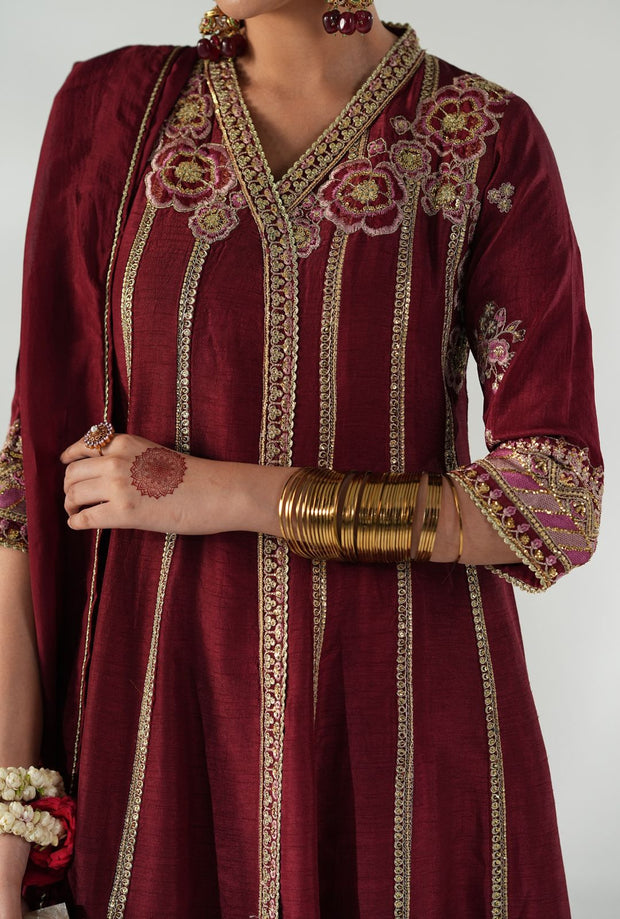Regal Ruby Raffia Pakistani Party Dress for Elegance