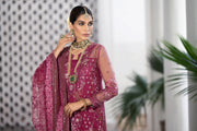 Vibrant Kameez Trouser Pakistani Wedding Dress