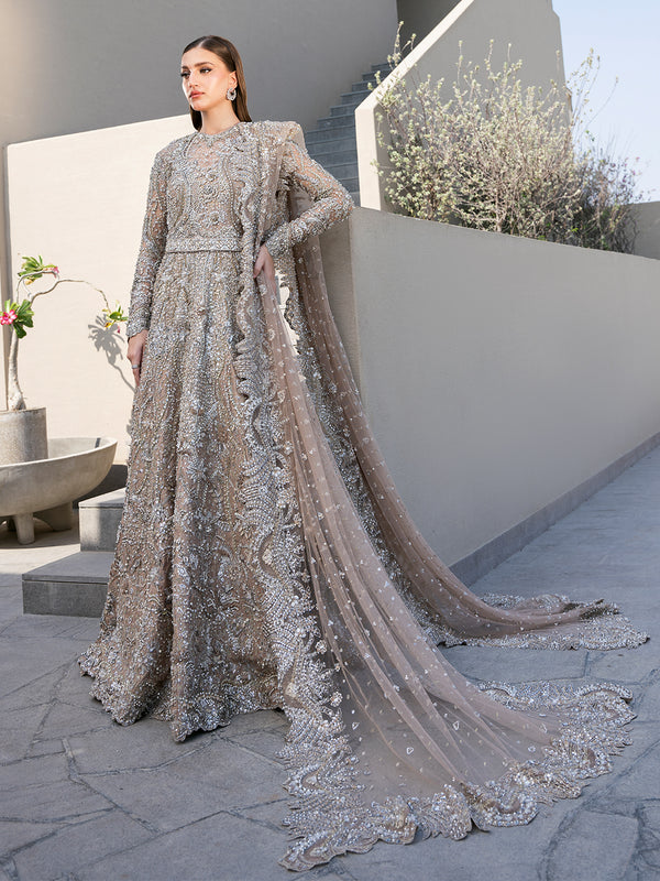 Elegant Royal Pakistani Bridal Dress for Weddings