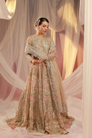 Rosette Pink Organza Pakistani Bridal Outfit with Exquisite Embro