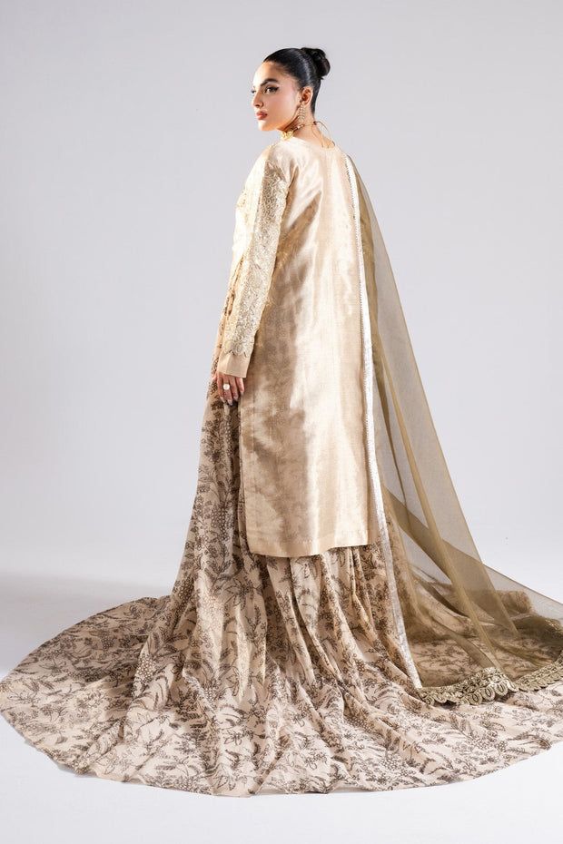 Cream Luxury Tissue Ensemble Pakistani Dress