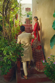 Opulent Beige Pakistani Sherwani with Sequined Detailing