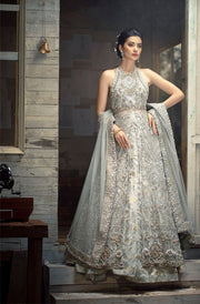 Pakistani Designer Bridal Dress in Opulent Sheer Fabric