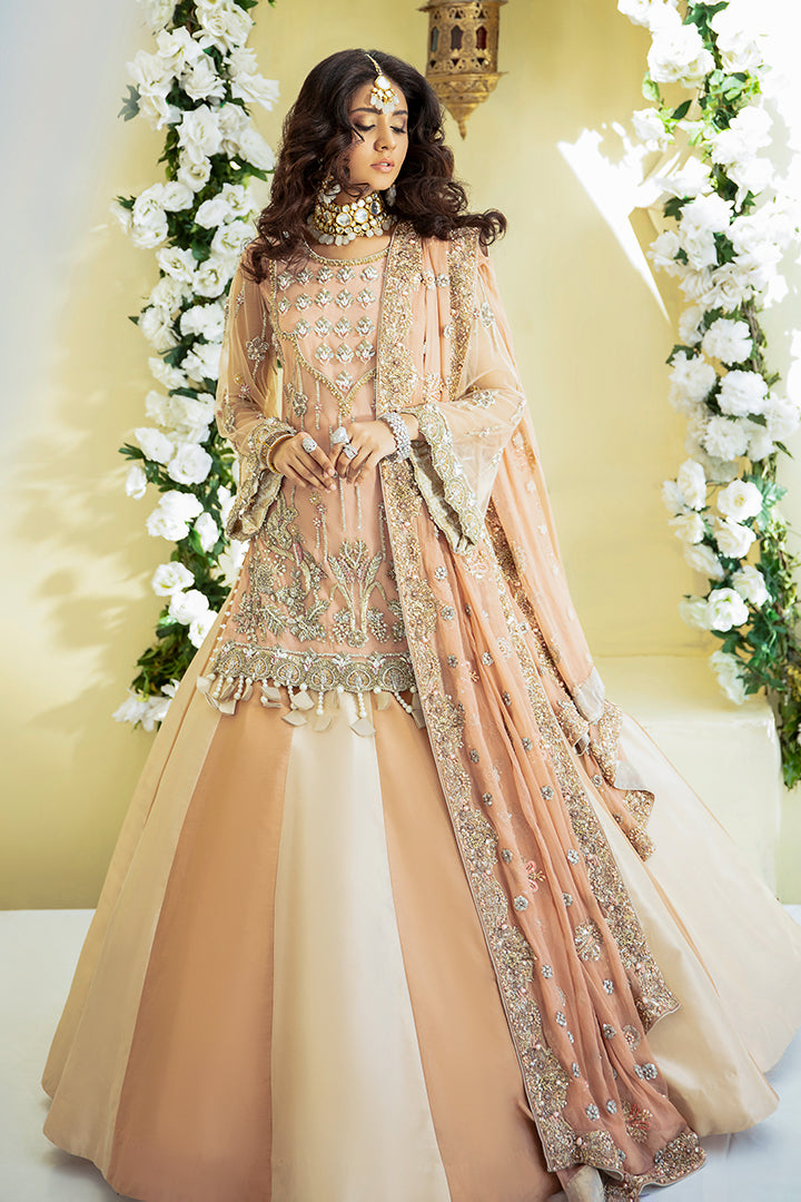 Trendy Pakistani Bridal Dress with Pastel Elegance