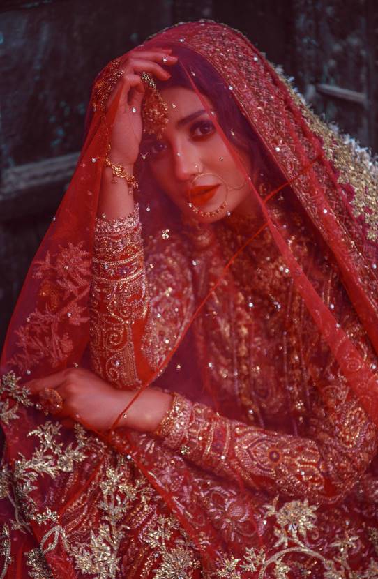 Traditional Pakistani Bridal Lehenga with Gold Embroidery