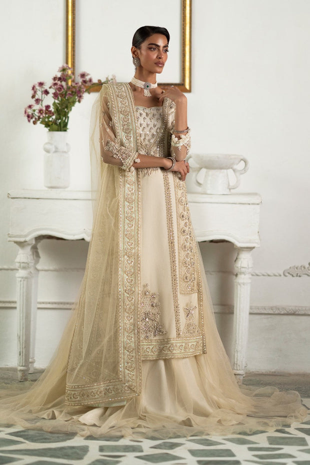 Elegant Net Pakistani Designer Dress With Dupatta