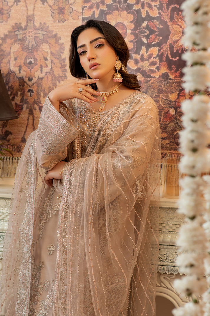 Embroidered Embroidered Gown