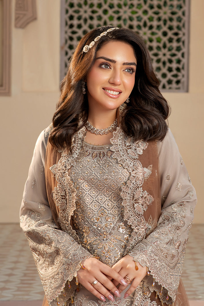 Organza Embroidered Gown