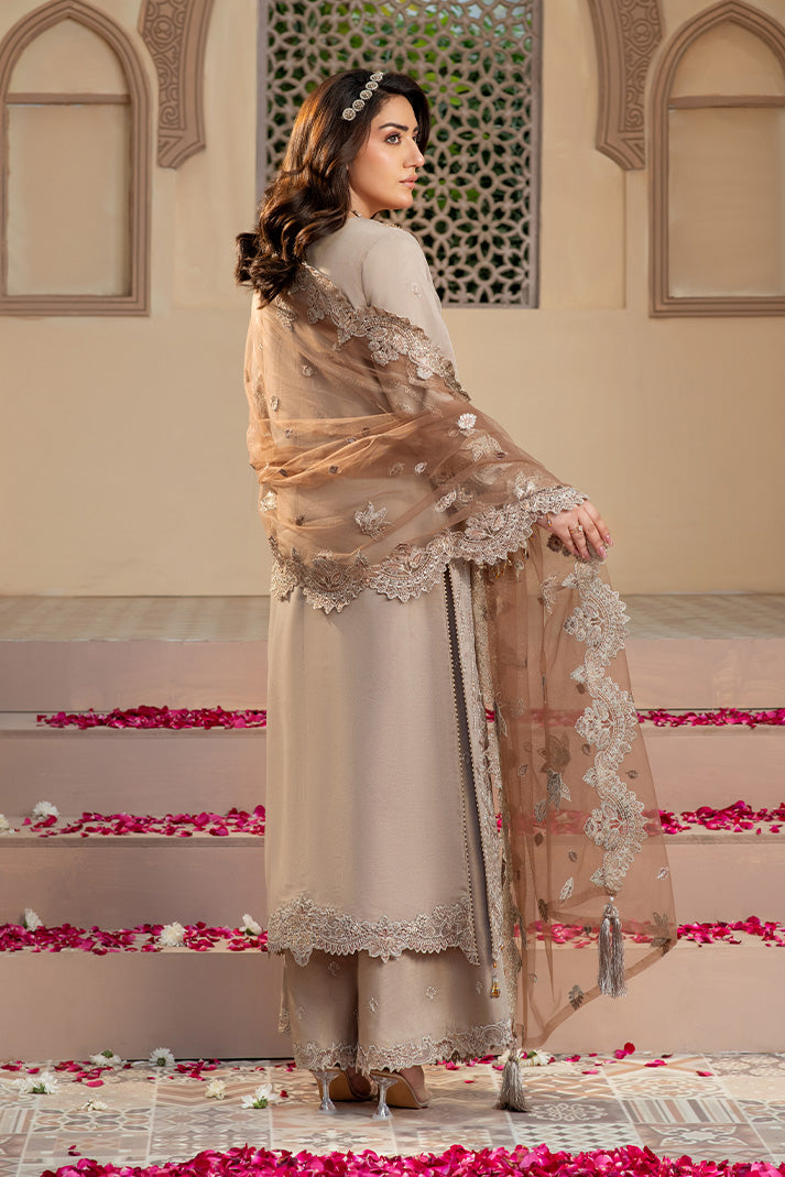 Organza Embroidered Gown