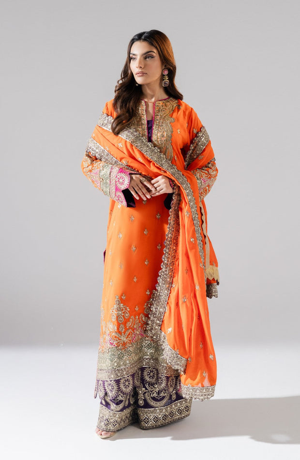 Embroidered Pakistani Designer Dress