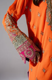 Embroidered Pakistani Designer Dress