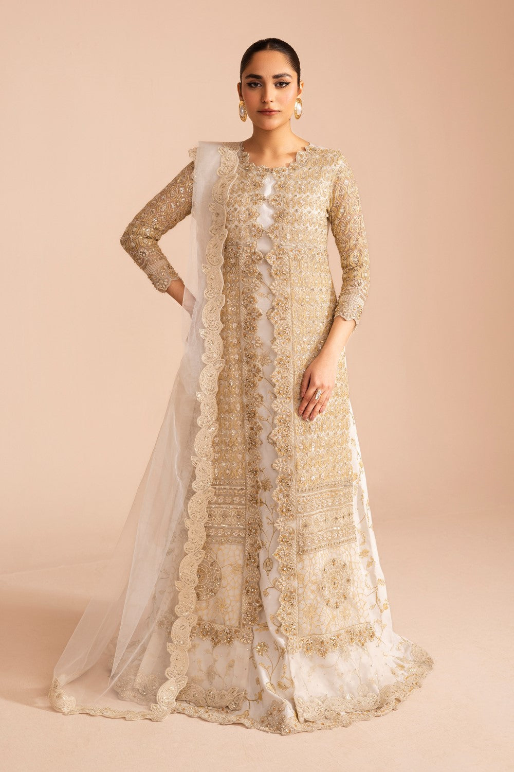 Elegant Embroidered Net Pakistani Party Dress