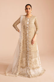 Elegant Embroidered Net Pakistani Party Dress