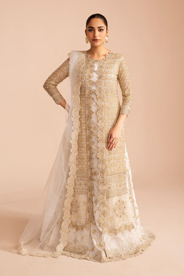 Elegant Embroidered Net Pakistani Party Dress