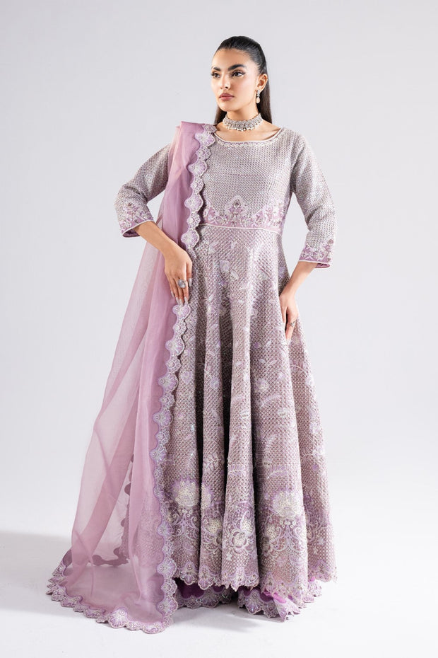 Lavender Luxury Organza Ensemble Pakistani Party Dress