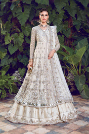 Chic Pakistani Wedding Wear in Net Embroidered