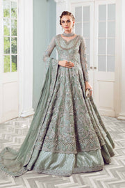 Luxury Pakistani Wedding Dress in Net Embroidered