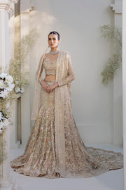 Champagne Beige Pakistani Bridal Dress with Elegant Embroidery