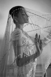 Regal Beige-Ivory Pakistani Bridal Dress with Exquisite Embroider