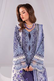 Embroidered Net Ensemble