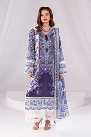 Embroidered Net Ensemble