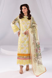 Embroidered Embroidery Organza Ensemble