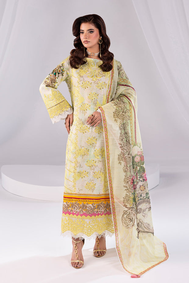 Embroidered Embroidery Organza Ensemble