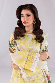 Embroidered Embroidery Organza Ensemble