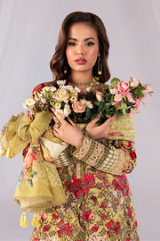 Embroidered Organza Ensemble