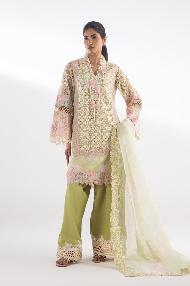 Sana Safinaz Elegant Green Organza Pakistani Dresses