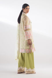 Sana Safinaz Elegant Green Organza Pakistani Dresses