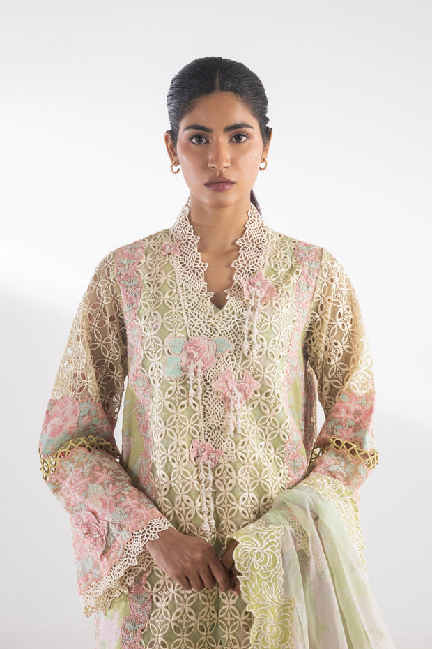 Sana Safinaz Elegant Green Organza Pakistani Dresses