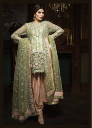Beautiful dress in chiffon by Ayra in light pistachio green and pink color