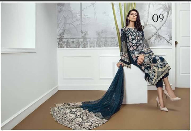 Beutifull dress by sareen in chiffon cloth Model #C 1137
