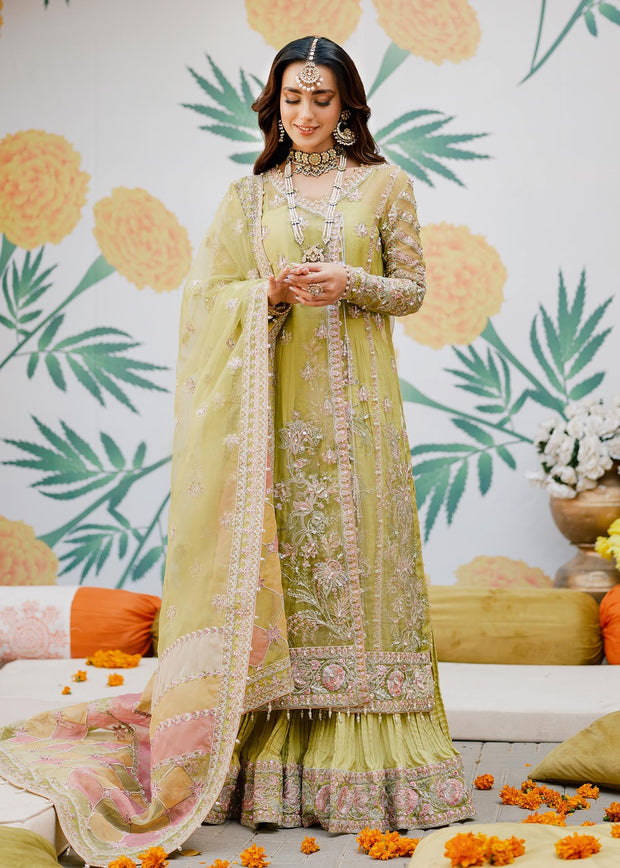 Angrakha Kameez Trouser Dupatta Pakistani Wedding Dress