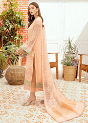 Asian Crinkle Chiffon Party Outfit Backside Look