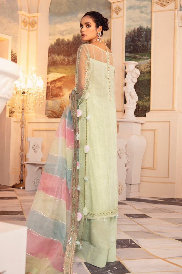 Asian Embroidered Net Silk Dress in Pista Green Color #Y6100