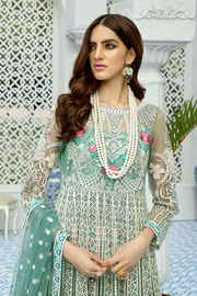 Asian Net Embroidered dress