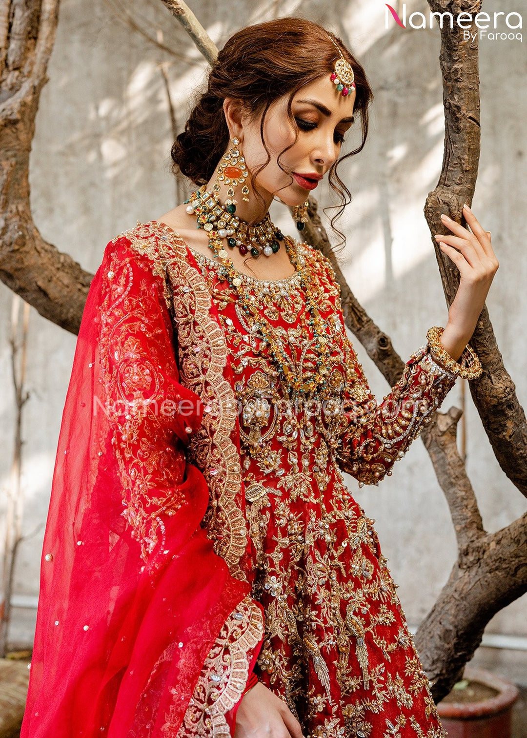 Asian Wedding Dress Designer Frock and Lehenga