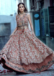 Asian Wedding Lehnga Choli for Bride 