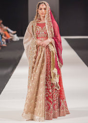 Beautiful embroidered Asian bridal outfit in multi color 