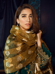 Beautiful Asian embroidered velvet dress in sea green color