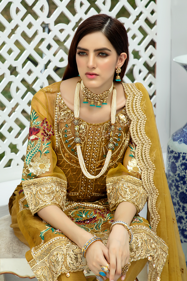 Asian designer embroidered dress