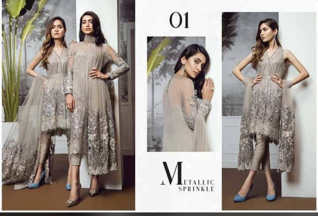Beutifull dress by sareen in chiffon cloth Model # C 1142