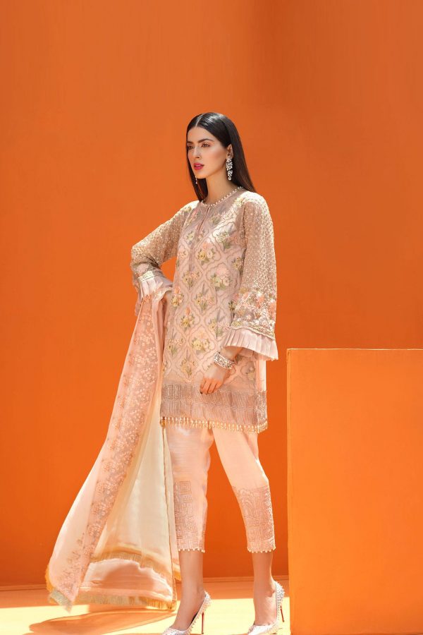 Beautiful Pakistani fancy dress with price